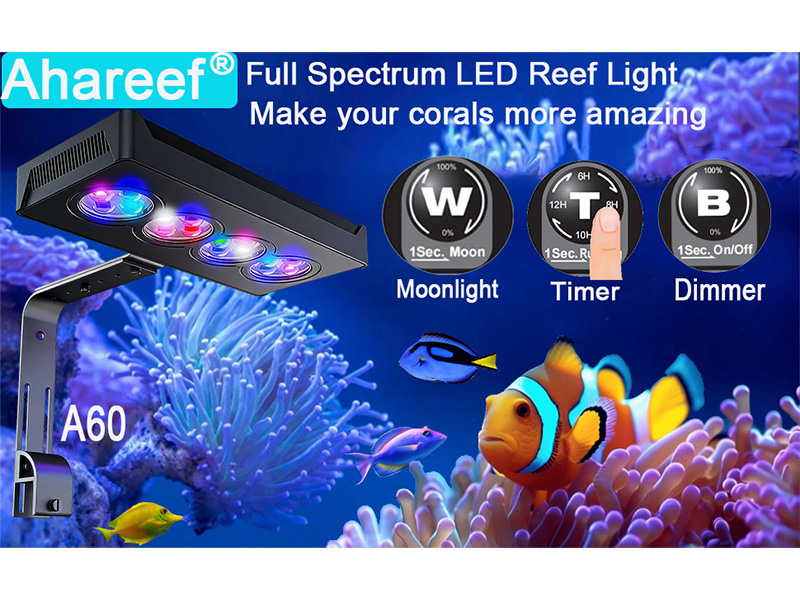 Amazon.com : Ahareef 45W Full Spectrum Reef LED Light for Coral